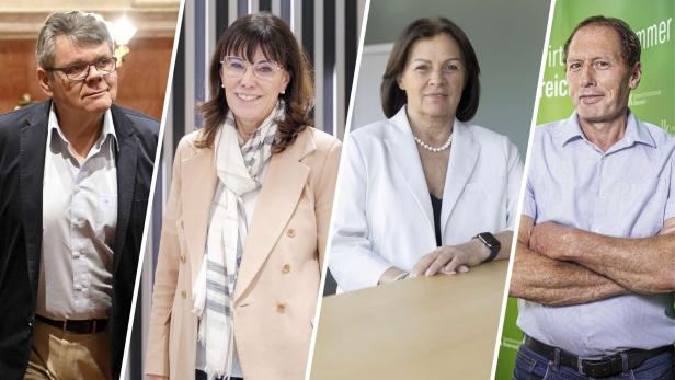 Wolfgang Katzian, Martha Schultz, Renate Anderl, Josef Moosbrugger